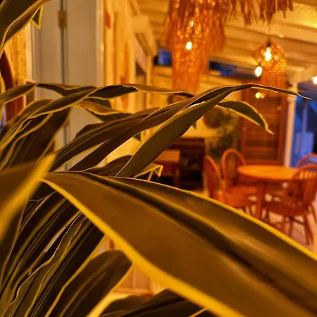 Szálloda Sisu Alacati Çeşme